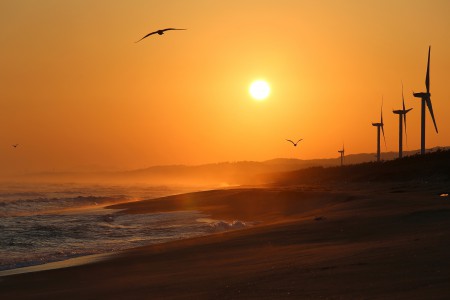 98朝陽の浜